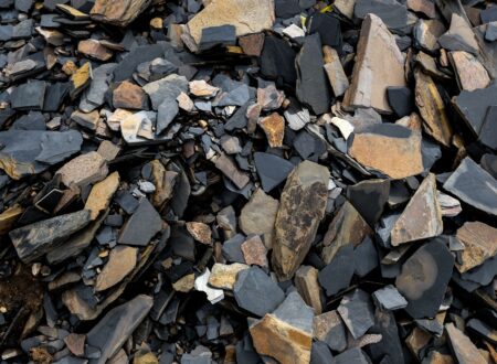 Rare earth minerals