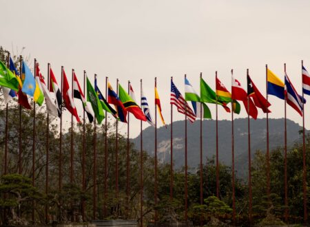 International Relations