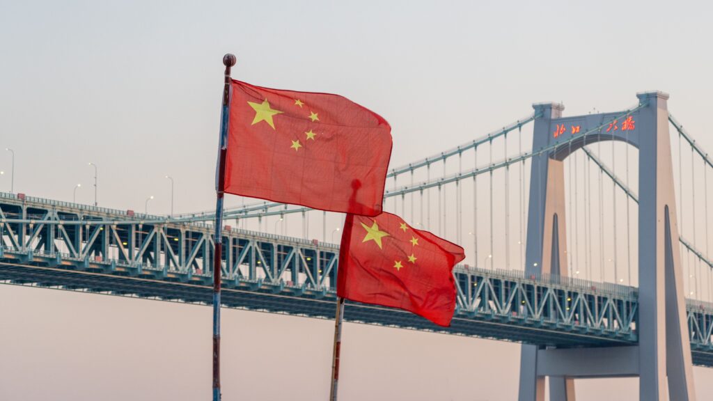 China's political system